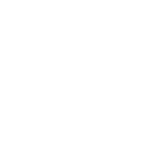 pityu.io logo